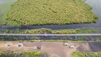 Banjir yang disebabkan luapan Sungai Pengabuan tersebut mengakibatkan akses jalan dari Tanjung Jabung Barat bagian hilir menuju sejumlah desa di bagian hulu terganggu, pengendara sepeda motor terpaksa menggunakan mobil bak terbuka dan truk untuk menyeberang dengan tarif Rp 20 ribu.