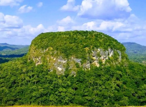 Bukit Fatukopa di Kecamatan Fatukopa, Kabupaten Timor Tengah Selatan (TTS), NTT. (Tangkapan layar Google Maps/Ardon Scm/2022)