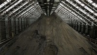 Tambang ini terletak di Colon, Panama, yang dimiliki oleh First Quantum Minerals. Tambang ini diperkirakan memproduksi sekitar 345.000 ton tembaga.