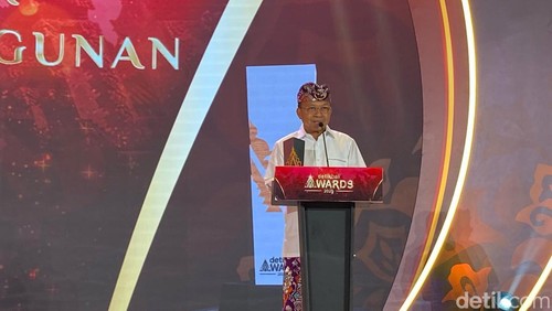 Gubernur Bali Wayan Koster. (Foto: Daniel Pekuwali/detikBali)