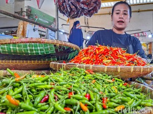 Harga Sembako Jogja Hari Ini 11 Agustus 2025: Cek Naik-Turun 4 Jenis Cabai