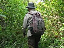 Vonis Berat 3 Terdakwa Kasus Ladang Ganja Semeru