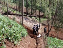 Patroli Gabungan Pastikan Ladang Ganja di TNBTS Tak Aktif Lagi