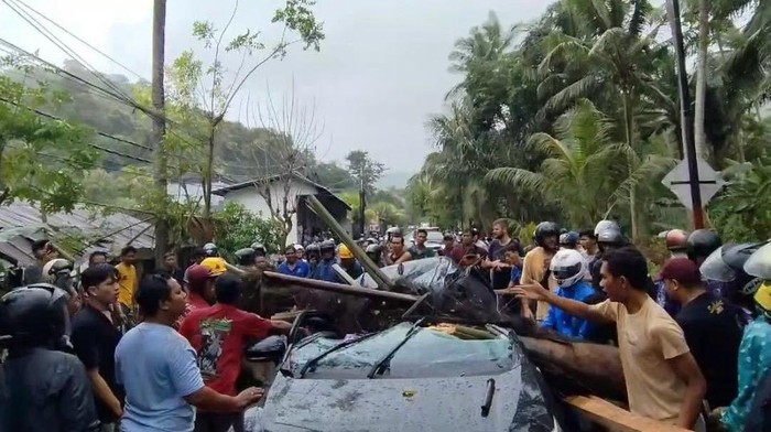 Mobil pengangkut wisatawan tertimpa pohon aren tumbang di Jalan Raya Candidasa, Desa Bugbug, Karangasem, Sabtu (22/3/2025). (Istimewa)
