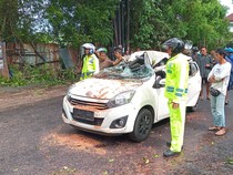 Mobil Ringsek Tertimpa Pohon di Kuta, Sopir Tewas