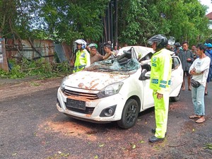 Ada 144 Kejadian Akibat Cuaca Ekstrem di Bali dalam Sepekan, 4 Orang Tewas