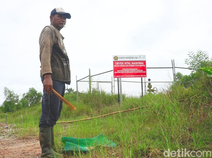 Solikin, pencari kroto di Tarakan.
