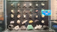 Jenis bebatuan di Museum Geologi Bandung.