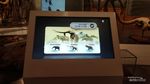 Museum Geologi Bandung, Cara Pesan Tiket dan Transportasi Umumnya