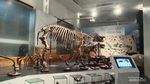 Museum Geologi Bandung, Cara Pesan Tiket dan Transportasi Umumnya