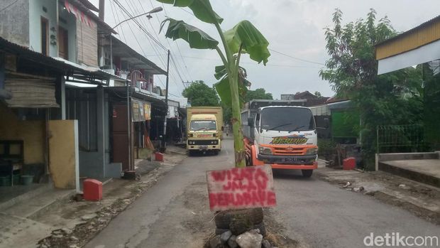 Warga menanam pohon pisang di jalan Kadilanggon, Kecamatan Wedi, Klaten, Sabtu (22/3/2025).