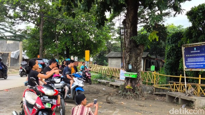Warga menyaksikan aktivitas monyet di petilasan Sunan Kalijaga Cirebon