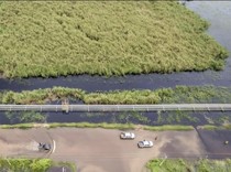 3 Desa di Tanjabbarat Jambi Terendam Banjir, 25 Rumah Warga Terdampak