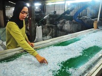 Melihat Pengolahan Sampah Plastik di Kudus