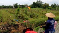 Tim Pertamina melakukan pembakaran gas dengan memasang pipa sepanjang hampir 160 meter dari mulut sumur air. Pipa tersebut kemudian diarahkan hingga menuju area persawahan yang telah dikosongkan oleh pihak pemdes.