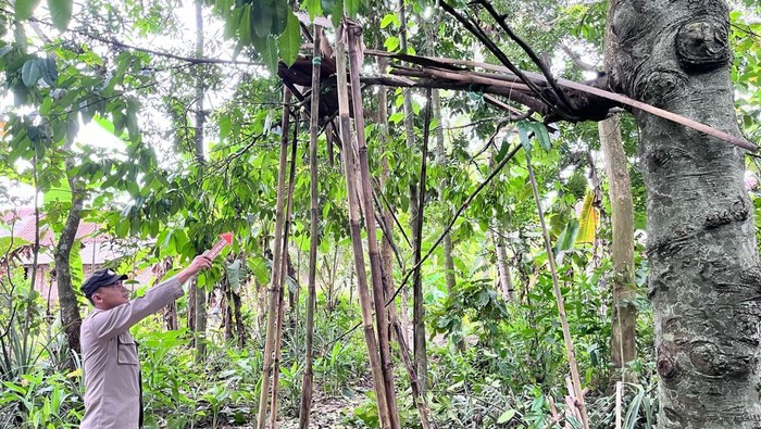 Petugas kepolisian melakukan olah TKP terjadinya ledakan petasan yang melukai tiga remaja di Desa Gandrungmanis, Kecamatan Gandrungmangu, Kabupaten Cilacap, Sabtu (22/3/2025) sore.