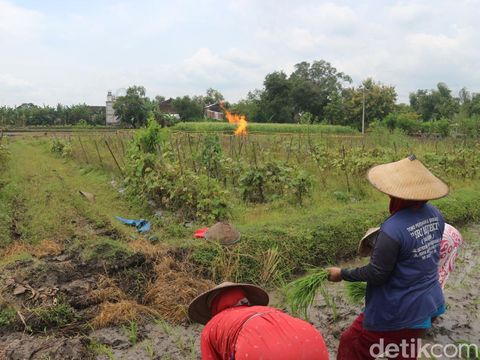 Semburan Api di Bojonegoro