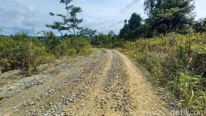 Di Desa Sungai Urang, Kabupaten Bulungan, Kalimantan Utara, sebuah rumah adat berdiri sederhana di tepi jalanan berbatu. Di samping bangunan tersebut, Lem Dungau, seorang nenek duduk dengan tenang.