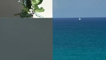 Gambar ini bukan editan empat foto jadi satu. Ini adalah satu foto.  Foto: Reddit