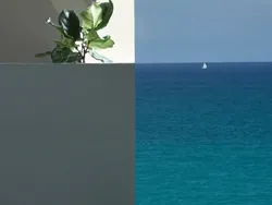 Yakin Mata Kamu Tidak Terkecoh Lihat Deretan Foto Ini?