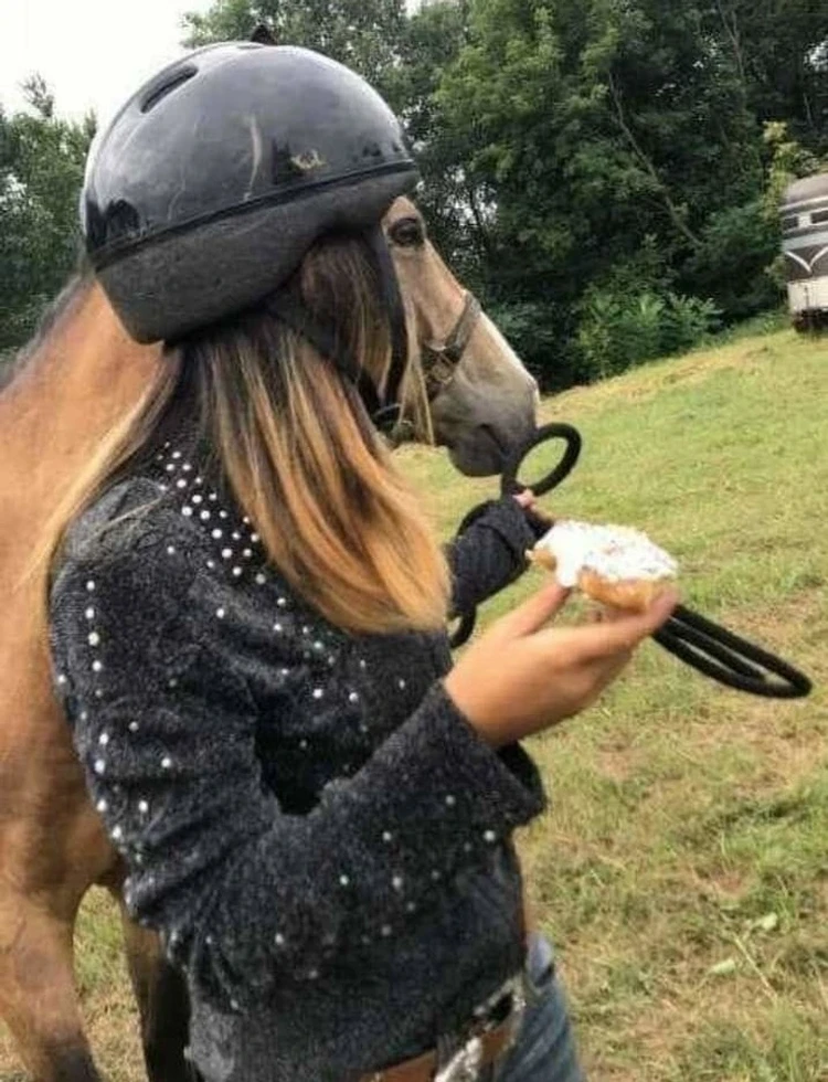 Foto mengecoh mata