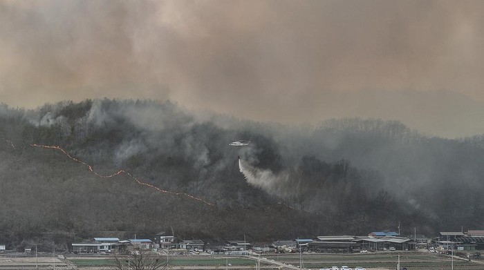 Firefighters extinguish a fire at a factory building that has been engulfed in a wildfire in Uiseong, South Korea, Saturday, March 22, 2025. (Yoon Gwan-shick/Yonhap via AP)