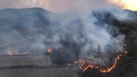 Kebakaran yang dimulai di daerah Sancheong pada Jumat (22/3) sore, mendorong pengerahan 304 personel, bersama dengan 20 helikopter, menurut Kementerian Dalam Negeri Korea Selatan. Badan kehutanan Korsel telah mengeluarkan peringatan kebakaran parah, tingkat tertingginya di 12 lokasi, termasuk provinsi Gyeongsang Utara dan Selatan, Busan, dan Daejeon.