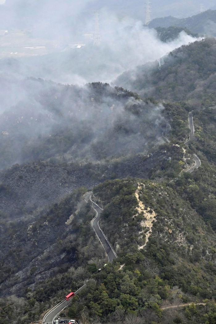 A forest fire burns in Okayama, western Japan Sunday, March 23, 2025. (Kyodo News via AP)