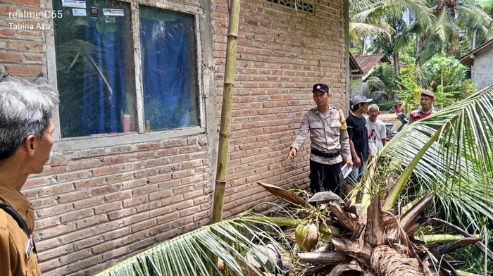 Polisi menunjukkan TKP korban tewas tertimpa pohon di Wahyuharjo, Lendah, Kulon Progo, Senin (24/3/2025).