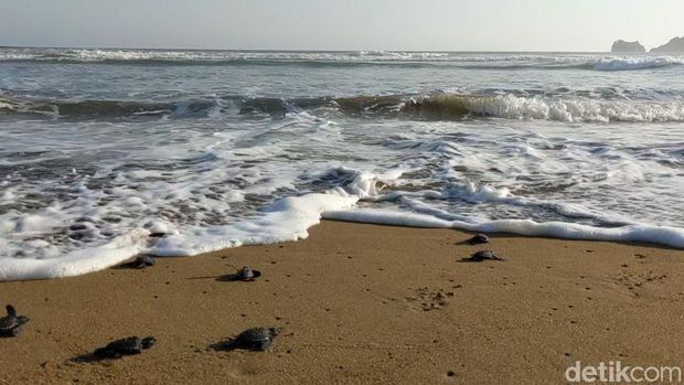 Pantai Taman Kili-kili