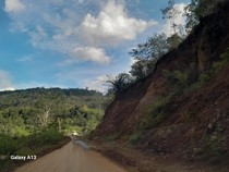 Pemudik yang Melintas di Bengkulu Diminta Waspada Longsor dan Pohon Tumbang