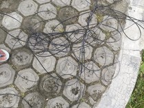 Siswa SD di Buol Tewas Kesetrum Kabel WiFi yang Putus Saat Lewat Trotoar