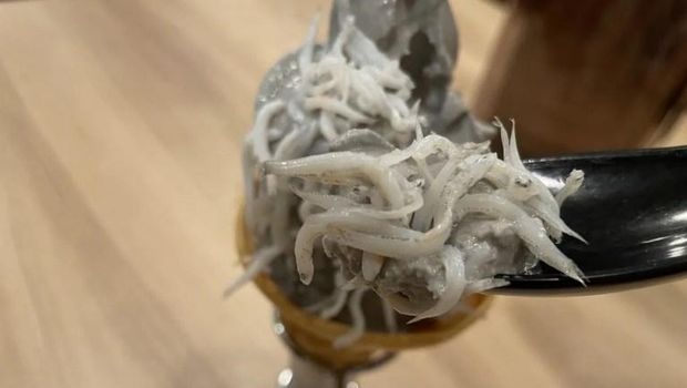 Unik! Es Krim Vanilla Ini Disajikan dengan Topping Ikan Teri