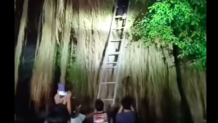Warga Kecamatan Petir, Kabupaten Serang digegerkan penemuan warga di atas pohon beringin yang telah menghilang beberapa hari. Korban lalu dievakuasi warga. (dok Istimewa)