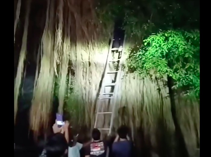 Warga Kecamatan Petir, Kabupaten Serang digegerkan penemuan warga di atas pohon beringin yang telah menghilang beberapa hari. Korban lalu dievakuasi warga. (dok Istimewa)