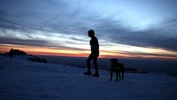 Bersama anjing pemandunya, Taddy, Asenov, salah satu dari segelintir pelari ultramaraton tunanetra di Eropa, Asenov berangkat dari sebuah pondok gunung menuju puncak Black Peak di Vitosha, sekitar 2.290 meter di atas ibu kota, pada pukul 09.32 pagi (07.32 GMT) pada hari Jumat (21/3) untuk meningkatkan kesadaran tentang pelatihan anjing pemandu. 