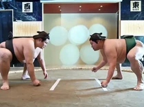 Di 5 Resto Ini Bisa Nonton Gulat Sumo hingga Cuci Blow