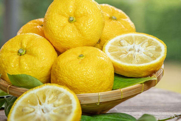 Herba dan bahan makanan Jepang yang berkhasiat panjang umur