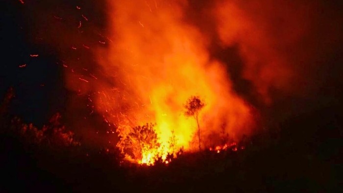Lahan Bekas Bunker Zaman Perang Dunia II di Tarakan Terbakar