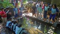 Sejumlah pelajar berdiskusi dengan gurunya saat melaksanakan program Tilik Belik di sumber mata air Sendang Gede pegunungan Menoreh Desa Banjaroyo, Kalibawang, Kulon Progo, DI Yogyakarta, Selasa (25/3/2025).