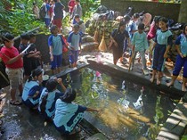 Puluhan Pelajar Asyik Belajar Mengenal Alam di Pegunungan Menoreh