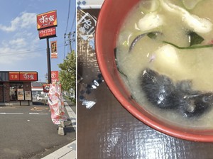 Resto Terkenal Ini Minta Maaf, Ada Temuan Tikus Mengapung di Sup Miso