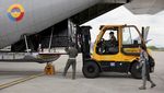 Simpanse Yoko Menemukan Tempat Perlindungan Baru di Brasil