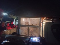 Viral Macan Dahan Masuk Gudang Warga di OKU, Dievakuasi BKSDA