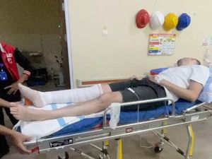 Digigit Ular Saat Menginap di Lombok, Turis Dubai Belum Sembuh hingga Sekarang