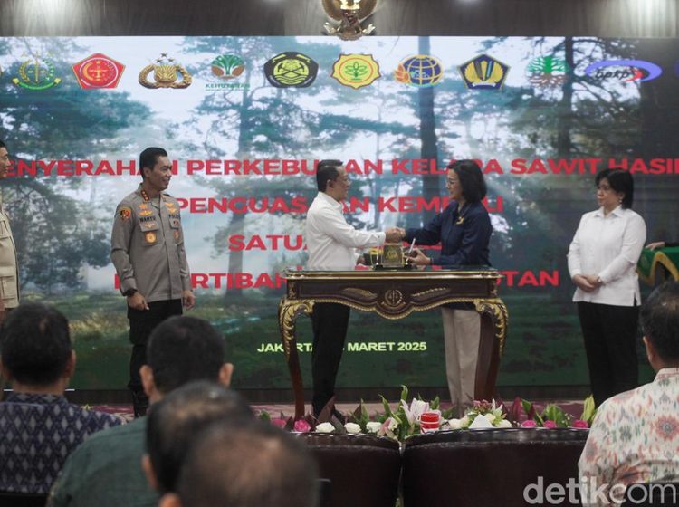 438 Ribu Hektare Kebun Sawit Sitaan Satgas Diserahkan ke BUMN