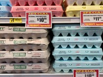 Dunia Hari Ini: Krisis Telur di AS, Sampai Harus Impor dari Negara Lain