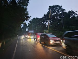 Jalan Denpasar-Gilimanuk Padat Merayap, Antrean Kendaraan Capai 8 Kilometer
