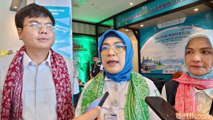 Direktur Jaminan Pelayanan Kesehatan BPJS Kesehatan Lily Kresnowati (M Iqbal/detikcom)