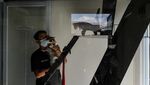 Jasa Penitipan Kucing di Bandung Meningkat Jelang Lebaran